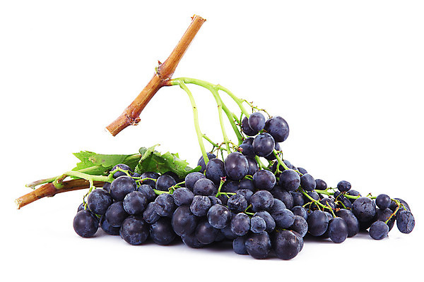 포토 JPG 해외이미지 식물 음식 백그라운드 컨셉 농업 과일 자연 포도 실내 식이요법 사람없음 검은색 어둠 흰색 신선 다발 유기농 영양 고립 바이오 해외202004 해외포토 웰빙 산업 컬러 건강 내부 생태계 파일형식