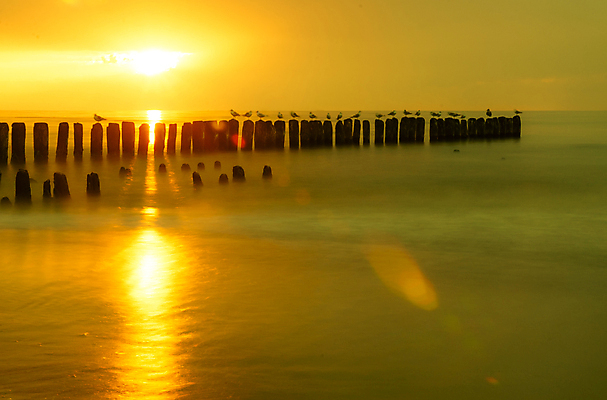 포토 JPG 해외이미지 바다 백그라운드 자연 갈매기 하늘 풍경 사람없음 빨간색 빛 햇빛 태양 노란색 일출 황혼 일몰 수평선 해외202004 해외포토 자연요소 컬러 조류 노을 생태계 파일형식