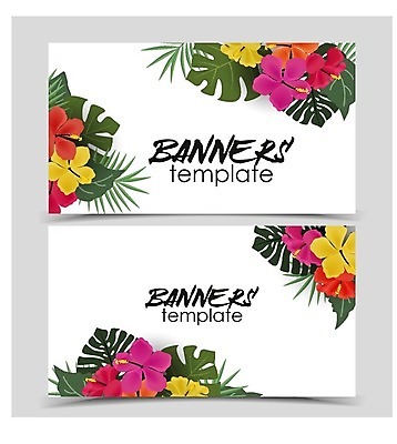 EPS 해외이미지 식물 무료이미지 디자인 배너 꽃 백그라운드 잎 꽃무늬 패턴 일러스트 프레임 사람없음 세트 이국적 히비스커스 해외202004 해외일러스트 무늬 파일형식 벡터 무료콘텐츠