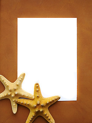 포토 JPG 해외이미지 모양 디자인 별 종이 바다 여행 백그라운드 컨셉 자연 휴가 조개 불가사리 프레임 사람없음 장식 세로 여름 모래사장 갈색 우주 쪽지 공백 껍질 흰색 신용카드 그룹 메시지 산호 소라 가죽 편지 수집 오브젝트 그림 문서 엽서 페이지 가리비 시트 멀티 옛날 해외202004 해외포토 자연요소 계절 컬러 어패류 극피동물 금융 자포동물 생태계 파일형식