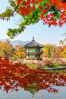 포토 JPG 해외이미지 나무 식물 공원 아시아 단풍 잎 오렌지 자연 바닥 서울 한국 동양인 풍경 사람없음 야외 목재 빨간색 햇빛 노란색 환경 정원 가을 나뭇가지 신선 황금 숲 아래 각도 남쪽 내추럴 해외202004 해외포토 계절 공공시설 나라 컬러 과일 재료 인종 태양 방향 생태계 위치 파일형식