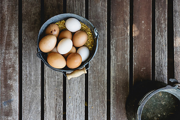 포토 JPG 해외이미지 음식 건강 사람없음 갈색 계란 신선 상품 양동이 유기농 날것 내추럴 해외202004 해외포토 웰빙 컬러 알 파일형식