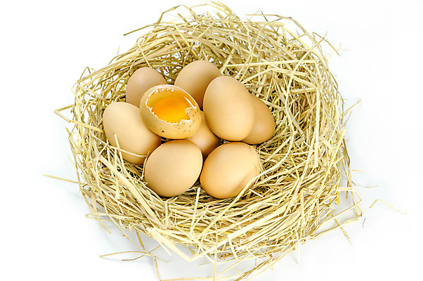 포토 JPG 해외이미지 동물 음식 백그라운드 재료 조류 건강 요리 사람없음 농장 갈색 노란색 저녁식사 치킨 성장 흰색 신선 둥지 아침식사 컨테이너 흰배경 유기농 노른자 밀짚 내추럴 점심식사 고립 단백질 삶기 생식 해외202004 해외포토 웰빙 산업 컬러 농업 계란 식사 짚 닭고기요리 영양소 파일형식