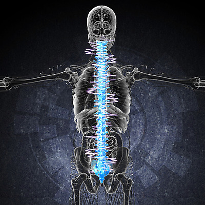 포토 JPG 해외이미지 뼈 골격 사람없음 환자 질병 척추 몸통 방사선 요통 의료성형뷰티 해외202004 해외포토 의학 신체부위 허리통증 파일형식