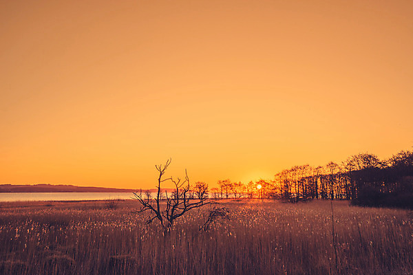 포토 JPG 해외이미지 바다 자연 하늘 풍경 사람없음 야외 빨간색 빛 햇빛 태양 반사 노란색 일출 맑음 황혼 일몰 낭만 수평선 해외202004 해외포토 자연요소 컬러 컨셉 날씨 노을 생태계 파일형식