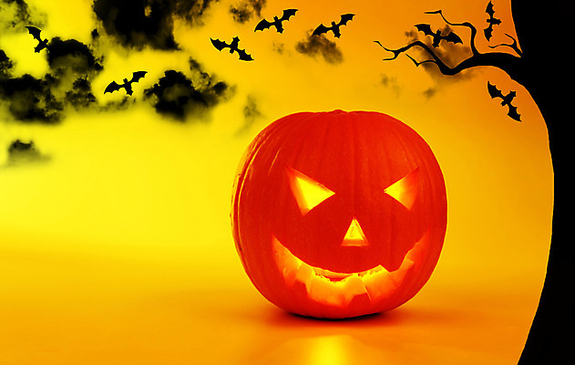 포토 JPG 해외이미지 나무 전통 계절 음식 백그라운드 채소 자연 호박 미소 웃음 사람없음 장식 빛 노란색 파티 할로윈 가을 등불 축하 표현 유령 야간 무서움 오브젝트 박쥐 10월 잭오랜턴 호러 오싹 해외202004 해외포토 자연요소 식물 감정 컬러 컨셉 포유류 조명 표정 이벤트 날짜 생태계 공포 파일형식