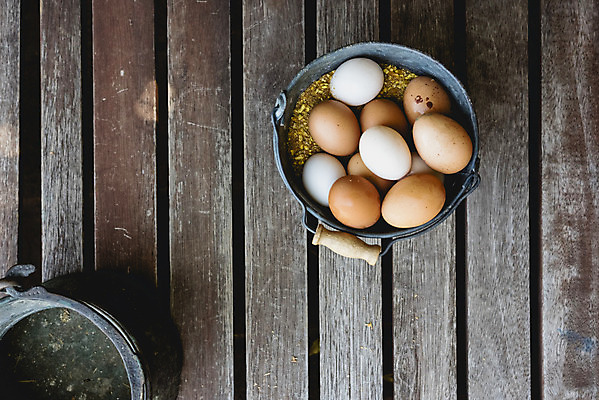 포토 JPG 해외이미지 음식 건강 사람없음 갈색 계란 신선 상품 양동이 유기농 날것 내추럴 해외202004 해외포토 웰빙 컬러 알 파일형식