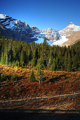 포토 JPG 해외이미지 나무 구름 여행 잎 캐나다 자연 하늘 산 풍경 초원 사람없음 강 가을 해외202004 해외포토 자연요소 식물 계절 북아메리카 생태계 파일형식