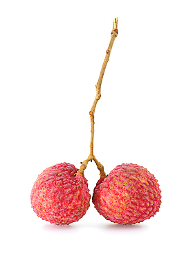 포토 JPG 해외이미지 식물 음식 과일 사람없음 빨간색 농작물 열대과일 흰배경 유기농 건강식 해외202004 해외포토 웰빙 컬러 백그라운드 농업 흰색 파일형식