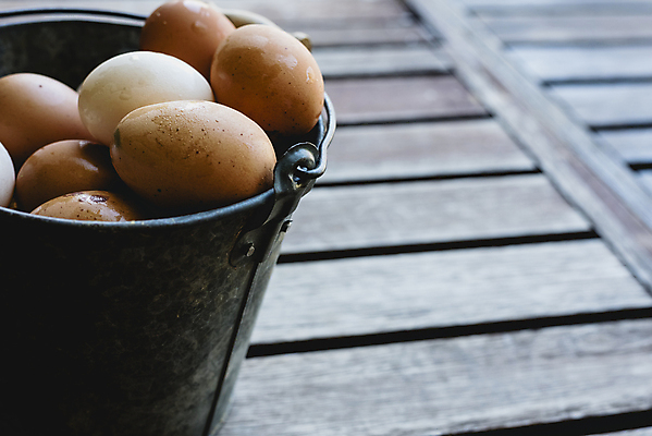 포토 JPG 해외이미지 음식 건강 사람없음 갈색 계란 신선 상품 양동이 유기농 날것 내추럴 해외202004 해외포토 웰빙 컬러 알 파일형식