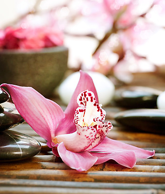 포토 JPG 해외이미지 꽃 백그라운드 컨셉 사람없음 쌓기 검은색 스파 조약돌 흰색 마사지 난초 테라피 해외202004 해외포토 식물 컬러 모션 뷰티 돌_바위 파일형식