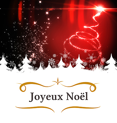 포토 JPG 해외이미지 모양 디자인 별 크리스마스 텍스트 추상 휴가 크리스마스카드 프레임 나선형 사람없음 컴퓨터그래픽 빨간색 빛 반짝임 크리스마스트리 디지털 축제 인사 메시지 우아함 전나무 프랑스어 국경 해외202004 해외포토 자연요소 나무 문자 기념일 컬러 컨셉 무늬 모션 카드_감사 그래픽 예절 파일형식