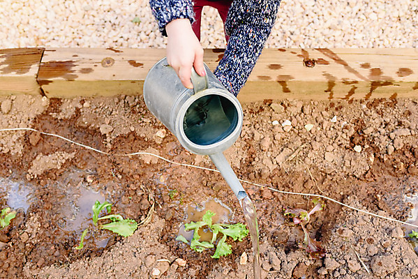 포토 JPG 해외이미지 식물 백인 여자 행복 어린이 가족 놀이 사람 취미 야외 정원 맑음 기쁨 물뿌리개 흰색 아기 물주기 원예 정원가꾸기 원예사 해외202004 해외포토 서양인 직업 감정 컬러 관계 모션 날씨 파일형식