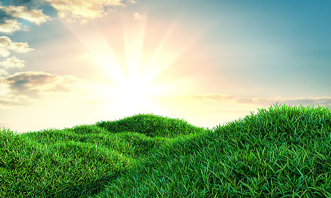 포토 JPG 해외이미지 식물 하늘 날씨 풍경 잔디 초원 사람없음 야외 초록색 맑음 봄 전원 해외202004 해외포토 계절 컬러 전기에너지 파일형식