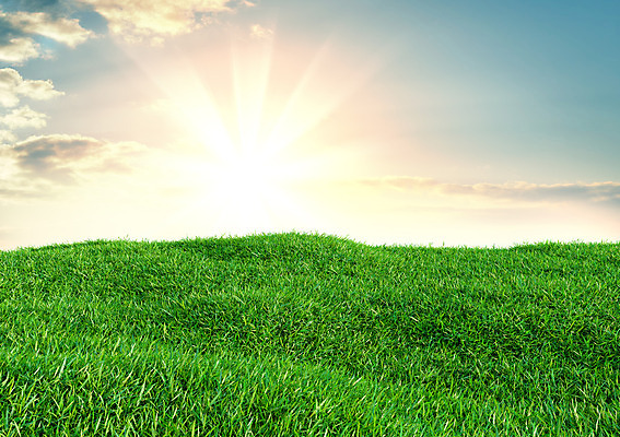 포토 JPG 해외이미지 식물 하늘 날씨 풍경 잔디 초원 사람없음 야외 초록색 맑음 봄 전원 해외202004 해외포토 계절 컬러 전기에너지 파일형식