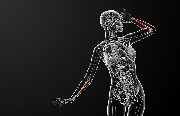 포토 JPG 해외이미지 손 과학 신체 해부 뼈 골격 건강 사람 사람없음 3D 팔 해외202004 해외포토 의학 신체부위 디지털합성 파일형식