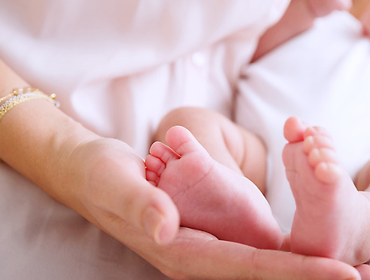 포토 JPG 해외이미지 백인 손 여자 딸 아들 어린이 신체 손가락 가족 엄마 친절 새로움 건강 손바닥 사랑 안전 사람 두명 부모 흰색 아기 신생아 잡기 마사지 보호 작음 피부 부드러움 발가락 결백 돌봄 양발 천진난만 해외202004 해외포토 서양인 감정 컬러 컨셉 관계 모션 발 신체부위 감각 크기 파일형식