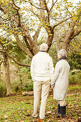 포토 JPG 해외이미지 백인 라이프스타일 커플 공원 여자 노년 남자 자연 함께함 사랑 야외 두명 초록색 손잡기 목도리 백발 가을 60대 겨울옷 70대 노인만 해외202004 해외포토 서양인 헤어스타일 잡화 옷 계절 공공시설 감정 컬러 컨셉 겨울 관계 모션 사람 성인 생활 생태계 성인만 파일형식
