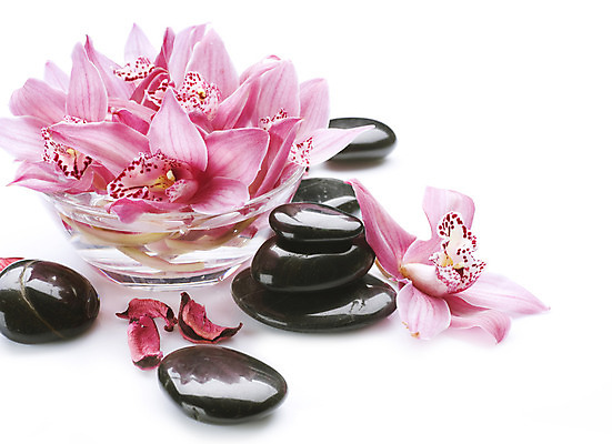 포토 JPG 해외이미지 꽃 분홍색 백그라운드 컨셉 사람없음 물 쌓기 검은색 스파 조약돌 흰색 마사지 난초 오브젝트 테라피 해외202004 해외포토 자연요소 식물 컬러 모션 뷰티 돌_바위 파일형식