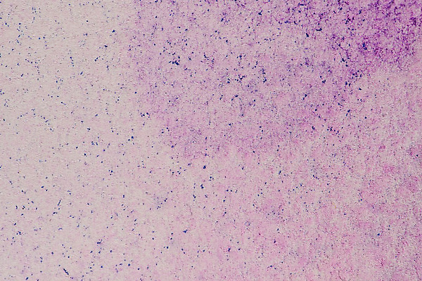 포토 JPG 해외이미지 디자인 종이 분홍색 백그라운드 패턴 일러스트 벽지 추상 수채화 잉크 창조 미술 경사 사람없음 그래픽 가로 컬러풀 장미 페인트 수확 붓 얼룩 거친 액체 떨어짐 그림 질감 그런지 스크랩북 해외202004 해외포토 꽃 컬러 컨셉 무늬 농업 문화예술 파일형식