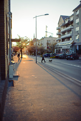 포토 JPG 해외이미지 나무 전통 계절 공원 꽃 아시아 도로 길 분홍색 백그라운드 꽃무늬 자연 거리 동양인 풍경 사람없음 빨간색 컬러풀 정원 일본 봄 벚꽃 흰색 개화 체리 내추럴 해외202004 해외포토 식물 공공시설 나라 컬러 무늬 과일 교통시설 인종 생태계 파일형식