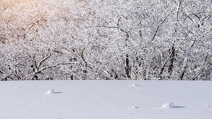 포토 JPG 해외이미지 나무 공원 백그라운드 겨울 자연 벽지 하늘 날씨 산 서울 한국 요정 이야기 풍경 사람없음 태양 맑음 얼음 추위 안개 사찰 닫기 숲 묘사 언덕 전국 눈내림 해외202004 해외포토 자연요소 식물 계절 공공시설 아시아 종교건축 모션 눈_날씨 생태계 파일형식