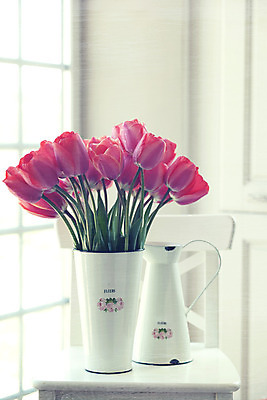 포토 JPG 해외이미지 꽃 분홍색 꽃다발 백그라운드 꽃무늬 휴가 부활절 주택 발렌타인데이 미술 사람없음 내부 목재 장식 빨간색 금속 정원 꽃병 침묵 봄 낭만 튤립 수확 골동품 벚꽃 흰색 시골 축하 인사 신용카드 생일 캔 냄비 다발 배열 복고 통조림 옛날 파스텔톤 많음 세련 해외202004 해외포토 나무 식물 계절 기념일 컬러 컨셉 무늬 농업 재료 데이이벤트 재질 문화예술 건물 금융 소리 예절 솥 파일형식