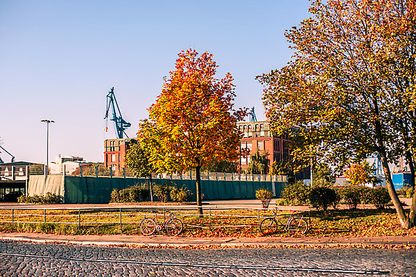 포토 JPG 해외이미지 나무 계절 공원 산업 길 여행 백그라운드 단풍 잎 오렌지 자연 하늘 날씨 거리 풍경 사람없음 야외 목재 빨간색 초록색 컬러풀 햇빛 노란색 평화 항구 정원 맑음 자전거 가을 바위 도시 황금 오브젝트 기중기 장면 동쪽 단계 내추럴 나루 해외202004 해외포토 식물 공공시설 컬러 컨셉 과일 재료 교통시설 태양 바이크 돌_바위 중장비 방향 생태계 파일형식