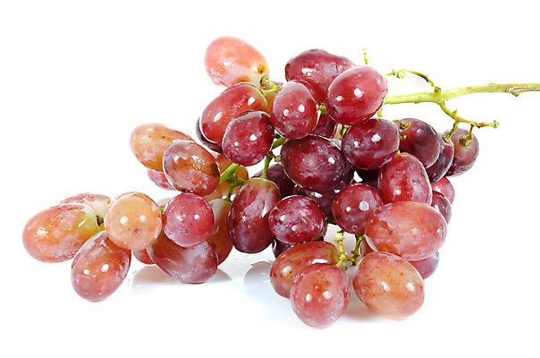 포토 JPG 해외이미지 식물 과일 자연 포도 사람없음 빨간색 농작물 흰색 신선 달콤 베리 건강식 숙성 해외202004 해외포토 음식 컬러 농업 맛 생태계 파일형식