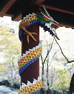 포토 JPG 한국문화 한국전통 문양 무늬 한국 사람없음 전통문양 동물문양 용문양 국내포토 동양문화 전통 아시아 파일형식