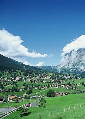 포토 JPG 나무 해외풍경 해외 유럽 길 외국문화 자연 주택 풍경 마을 기찻길 풀 스위스 알프스 베른 융프라우철도 철도의날 국내포토 식물 나라 문화 건물 생태계 파일형식 법정기념일