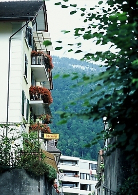 포토 JPG 나무 해외풍경 해외 시설물 현대건축 건축 자연 산 주택 풍경 사람없음 건물 숲 빌라 연립주택 국내포토 식물 건축물 생태계 파일형식