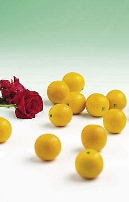 포토 JPG 스튜디오촬영 과일 사람없음 금귤 국내포토 귤 실내 파일형식