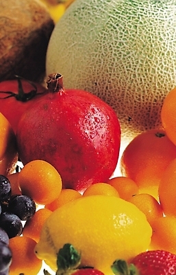 포토 JPG 스튜디오촬영 식물 과일 포도 사람없음 멜론 레몬 석류 금귤 국내포토 귤 실내 파일형식