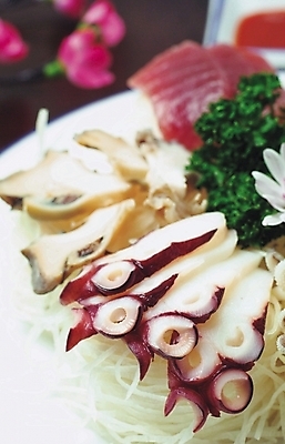 포토 JPG 스튜디오촬영 음식 사람없음 생선회 회 문어 문어회 일본음식 국내포토 연체동물 실내 수중동물 파일형식