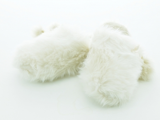 포토 JPG 잡화 신발 슬리퍼 누끼 사람없음 오브젝트 방한용품 털슬리퍼 국내포토 파일형식