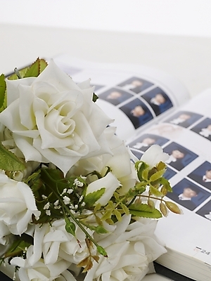 포토 JPG 교육 꽃다발 졸업 사람없음 장미 오브젝트 졸업사진 졸업앨범 국내포토 꽃 앨범 파일형식