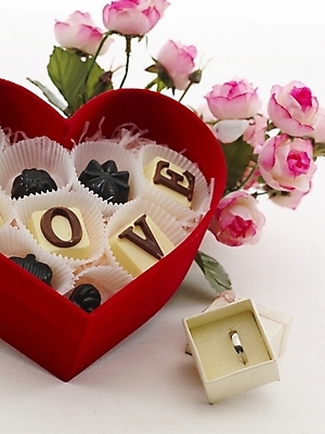 포토 JPG 문자 기호 알파벳 기념일 꽃 음식 프로포즈 포장 디저트 발렌타인데이 선물 사랑 사람없음 상자 장미 초콜릿 하트 반지 국내포토 모양 식물 영어 감정 장신구 데이이벤트 이벤트 파일형식