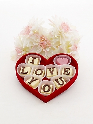 포토 JPG 문자 기호 알파벳 기념일 꽃 음식 포장 디저트 발렌타인데이 선물 사랑 누끼 사람없음 초콜릿 하트 국내포토 모양 식물 영어 감정 데이이벤트 이벤트 파일형식