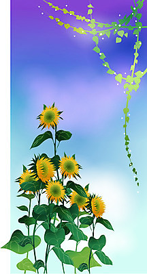 EPS 식물 사계절 계절 꽃 줄기 백그라운드 잎 일러스트 자연 하늘 날씨 해바라기 사람없음 여름 맑음 덩굴 아이비 국내일러스트 생태계 파일형식 벡터