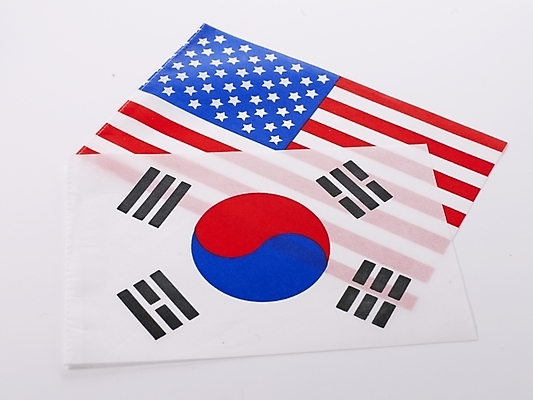 포토 JPG 나라 외국문화 북아메리카 협력 한국 아메리카 사람없음 미국 국기 태극기 국제관계 외교 한미관계 국내포토 아시아 문화 경제 대륙 국제 파일형식