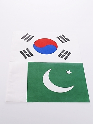 포토 JPG 나라 아시아 외국문화 협력 한국 누끼 사람없음 국기 태극기 국제관계 외교 파키스탄 국내포토 문화 국제 파일형식