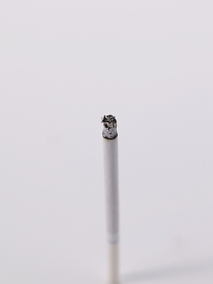 포토 JPG 생활용품 담배 사람없음 금연 담배꽁초 국내포토 캠페인 사회이슈 오브젝트 파일형식