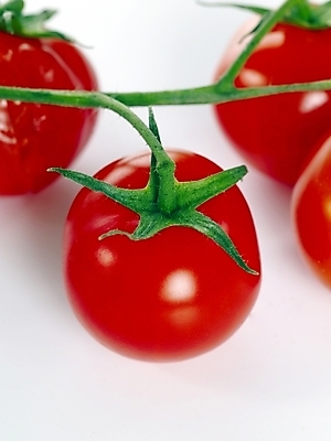 포토 JPG 스튜디오촬영 식물 웰빙 음식 몸매관리 다이어트 토마토 방울토마토 건강 사람없음 뷰티 건강관리 조절 국내포토 채소 실내 관리 파일형식