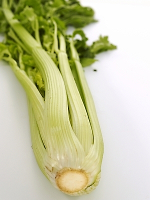 포토 JPG 스튜디오촬영 웰빙 음식 몸매관리 다이어트 채소 식재료 수치 건강 사람없음 뷰티 건강관리 샐러리 조절 국내포토 그래프 실내 관리 파일형식