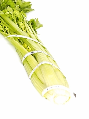 포토 JPG 스튜디오촬영 웰빙 음식 몸매관리 다이어트 채소 식재료 수치 줄자 자 건강 누끼 사람없음 뷰티 건강관리 샐러리 조절 국내포토 그래프 문구용품 실내 관리 파일형식