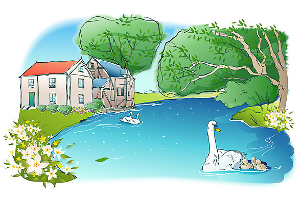 EPS 주간 나무 해외풍경 사계절 계절 꽃 호수 백그라운드 일러스트 자연 주택 오리 풍경 사람없음 야외 마을 봄 백조 봄배경 국내일러스트 자연요소 식물 해외 조류 건물 생태계 파일형식 벡터