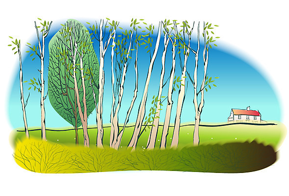 EPS 주간 나무 해외풍경 사계절 계절 백그라운드 일러스트 자연 주택 여러그루 풍경 사람없음 야외 마을 봄 봄배경 국내일러스트 자연요소 식물 해외 다수 건물 생태계 파일형식 벡터