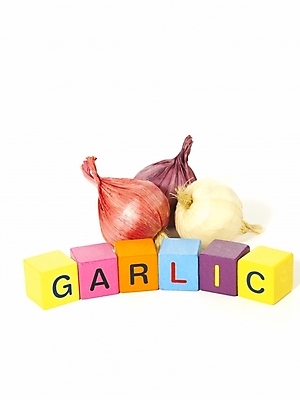 포토 JPG 문자 캐릭터 기호 알파벳 영어 교육 음식 생활용품 채소 식재료 놀이 양파 교재 마늘 영어교육 누끼 사람없음 단어 놀이용품 블록 오브젝트 교육용품 유아교재 유아교구 단어조합 글자만들기 블록쌓기 나무블록 국내포토 목재 쌓기 유아교육 조합 파일형식