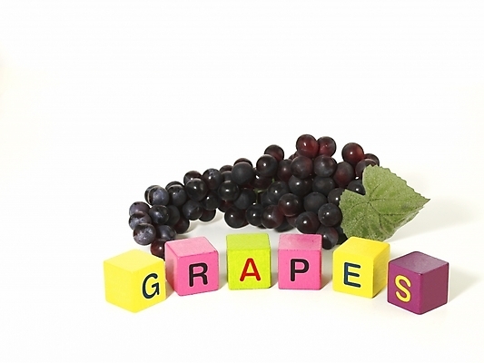 포토 JPG 문자 캐릭터 기호 알파벳 영어 교육 열매 음식 생활용품 과일 놀이 포도 교재 영어교육 누끼 사람없음 단어 놀이용품 블록 오브젝트 교육용품 유아교재 유아교구 단어조합 글자만들기 블록쌓기 나무블록 국내포토 식물 목재 쌓기 유아교육 조합 파일형식